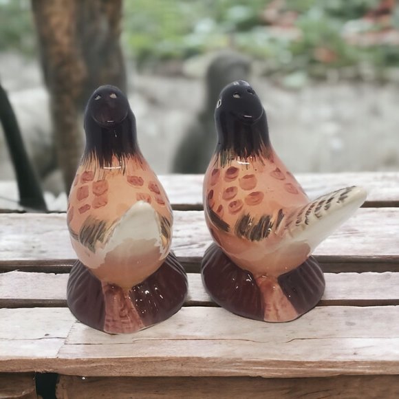 Pheasant Salt & Pepper Shakers - Ceramic - Hand Painted - Picture 5 of 7